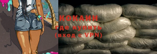 гидра Горно-Алтайск