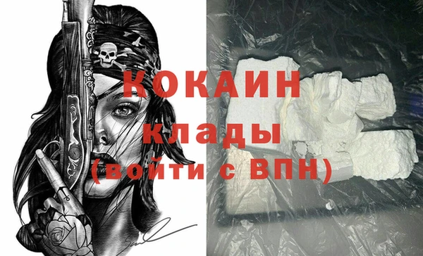 гидра Горно-Алтайск