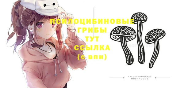 ГАЛЛЮЦИНОГЕННЫЕ ГРИБЫ Горнозаводск