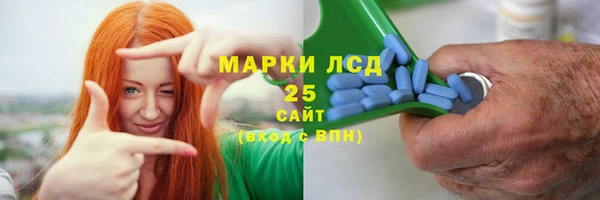 ГАЛЛЮЦИНОГЕННЫЕ ГРИБЫ Горнозаводск