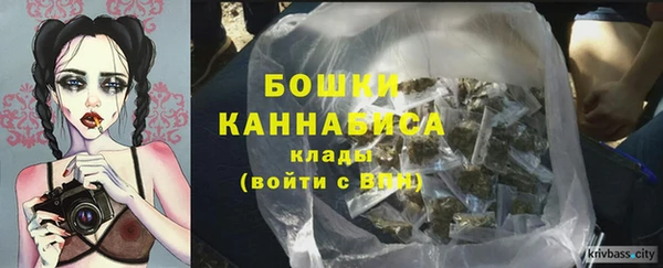 гидра Горно-Алтайск
