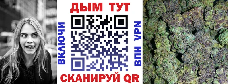 Шишки марихуана план  Купить  Заинск 